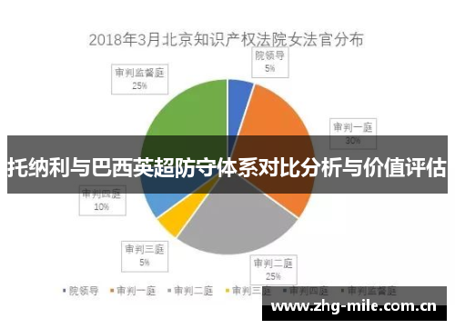 托纳利与巴西英超防守体系对比分析与价值评估 托纳利与巴西英超防守体系对比分析与价值评估