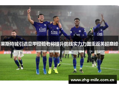 莱斯特城引进意甲经验老将提升防线实力力图重返英超巅峰 莱斯特城引进意甲经验老将提升防线实力力图重返英超巅峰