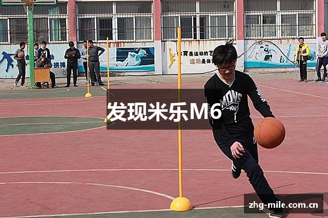 发现米乐M6